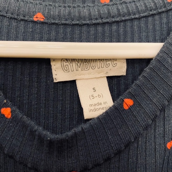 GUC Gymboree Girl’s Swing Dress 5T - Picture 2 of 2